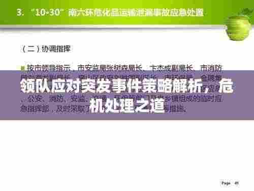 领队应对突发事件策略解析,危机处理之道