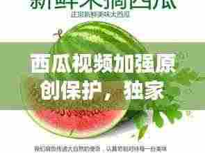 飞潜动植 第4页