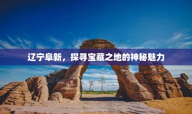 吉光片羽 第3页