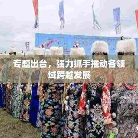 专题出台，强力抓手推动各领域跨越发展