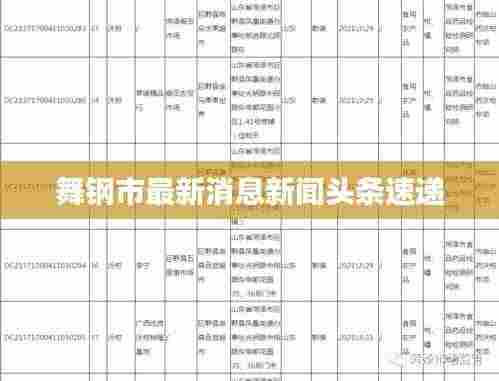 舞钢市最新消息新闻头条速递
