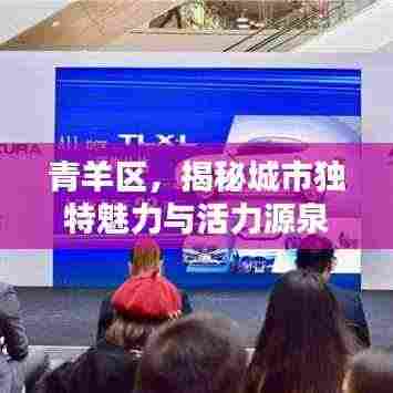 青羊区,揭秘城市独特魅力与活力源泉的专题探索