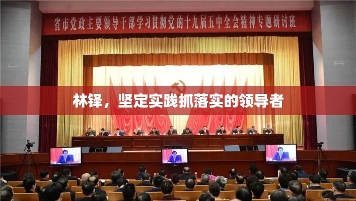 林铎,坚定实践抓落实的领导者