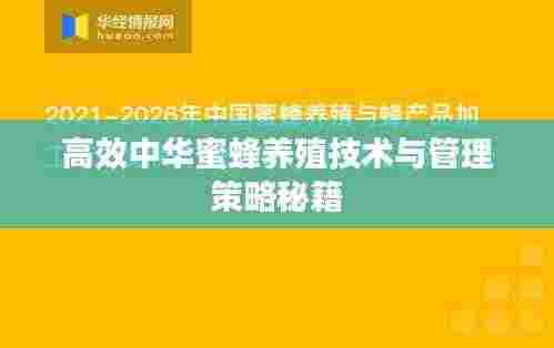 高效中华蜜蜂养殖技术与管理策略秘籍