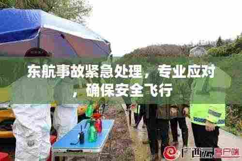 东航事故紧急处理,专业应对,确保安全飞行