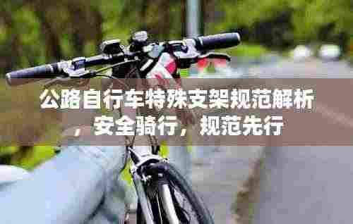 公路自行车特殊支架规范解析,安全骑行,规范先行