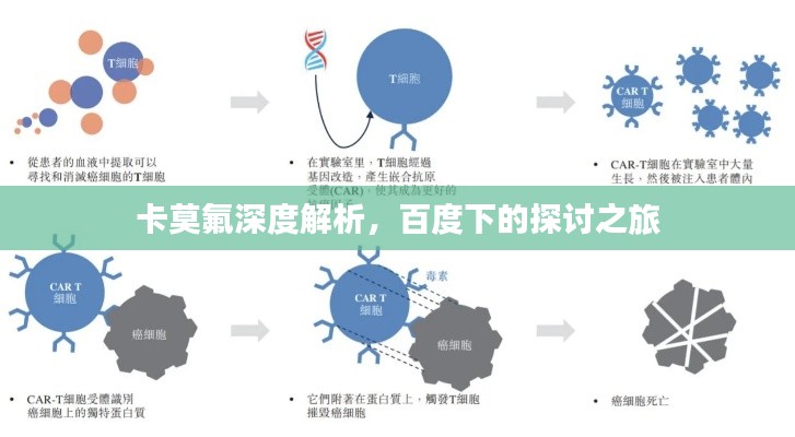 卡莫氟深度解析,百度下的探讨之旅
