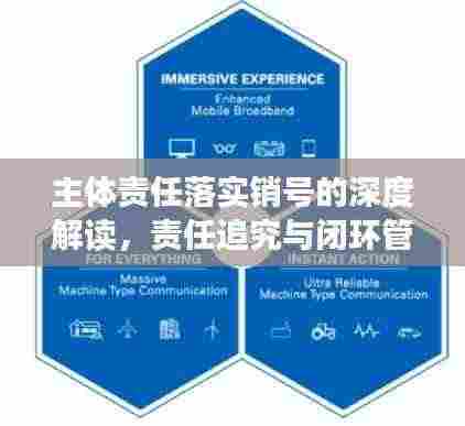 主体责任落实销号的深度解读,责任追究与闭环管理的关键所在