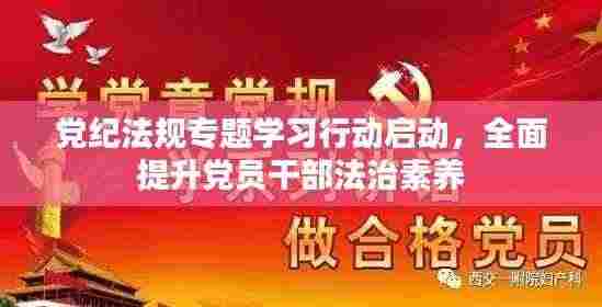 党纪法规专题学习行动启动，全面提升党员干部法治素养