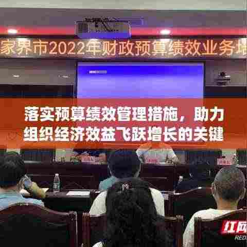 落实预算绩效管理措施,助力组织经济效益飞跃增长的关键路径