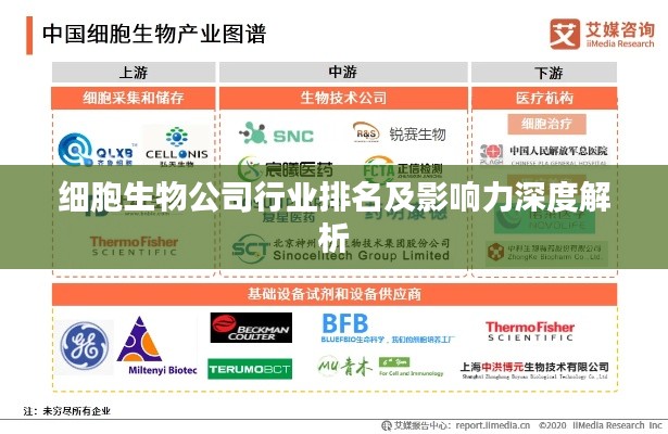 细胞生物公司行业排名及影响力深度解析