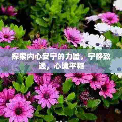 探索内心安宁的力量，宁静致远，心境平和