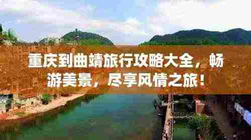 寥若晨星 第3页