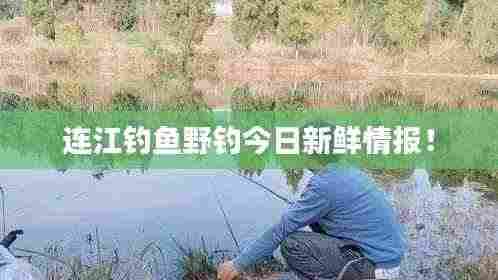连江钓鱼野钓今日新鲜情报!
