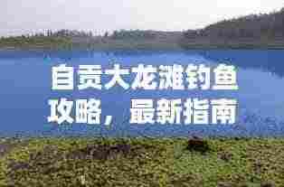 自贡大龙滩钓鱼攻略，最新指南一网打尽！