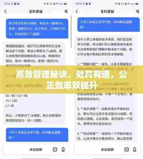 高效管理秘诀，处罚有道，公正效率双提升