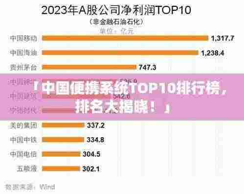 「中国便携系统TOP10排行榜,排名大揭晓!」
