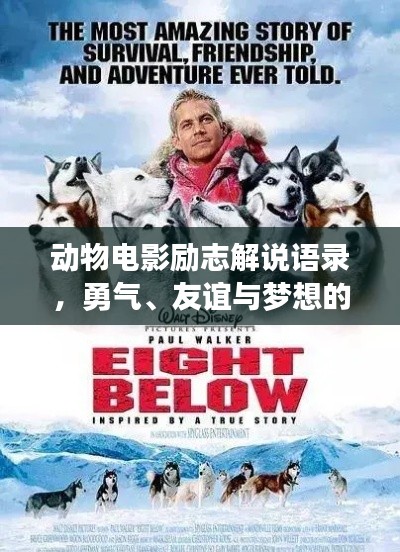 动物电影励志解说语录,勇气、友谊与梦想的震撼力量