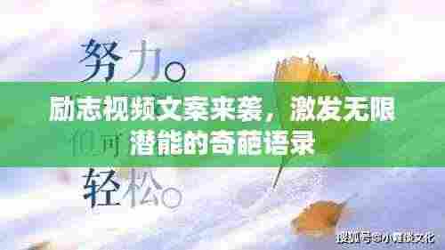 励志视频文案来袭，激发无限潜能的奇葩语录
