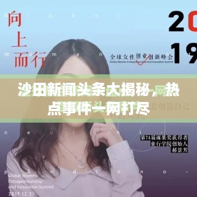 沙田新闻头条大揭秘,热点事件一网打尽