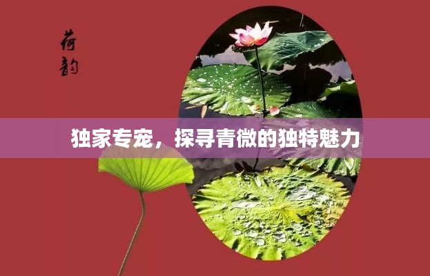独家专宠,探寻青微的独特魅力