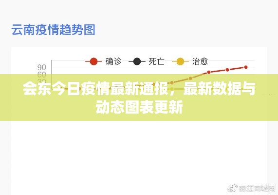 会东今日疫情最新通报,最新数据与动态图表更新