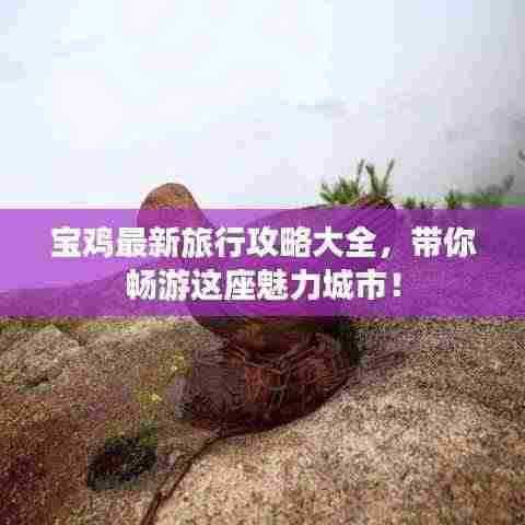 宝鸡最新旅行攻略大全，带你畅游这座魅力城市！