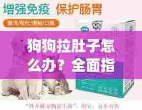 狗狗拉肚子怎么办?全面指南助你应对宠物健康危机