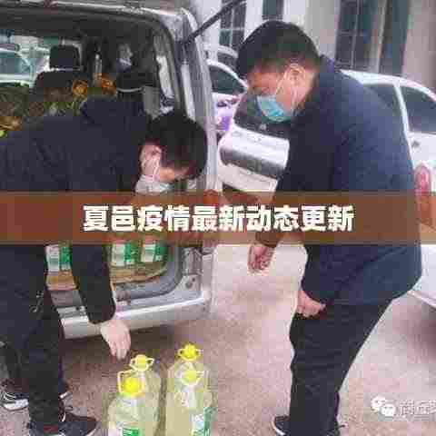 夏邑疫情最新动态更新