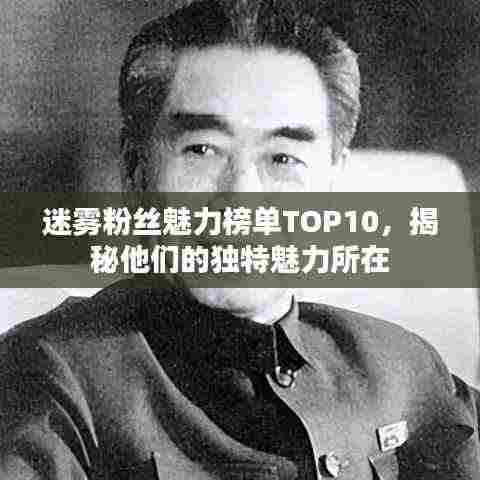 迷雾粉丝魅力榜单TOP10,揭秘他们的独特魅力所在