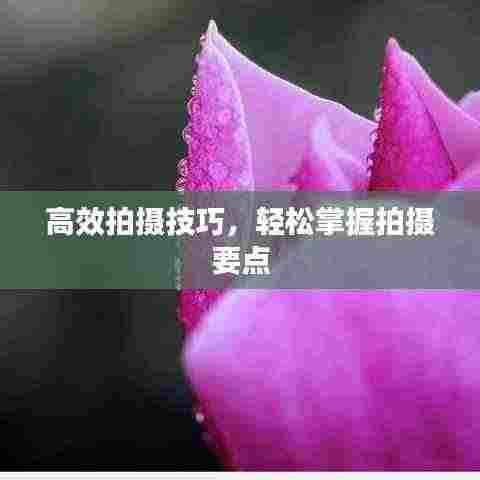 高效拍摄技巧,轻松掌握拍摄要点