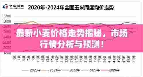 最新小麦价格走势揭秘,市场行情分析与预测!
