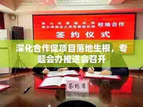 深化合作促项目落地生根，专题会办推进会召开