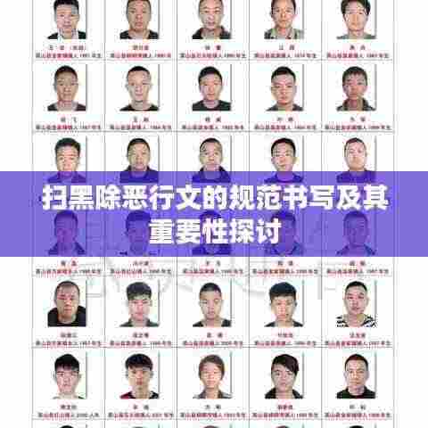 扫黑除恶行文的规范书写及其重要性探讨