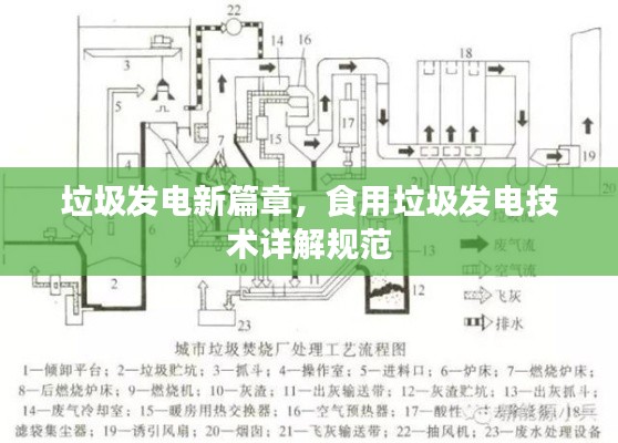 垃圾发电新篇章,食用垃圾发电技术详解规范