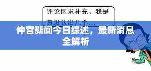 仲宫新闻今日综述,最新消息全解析