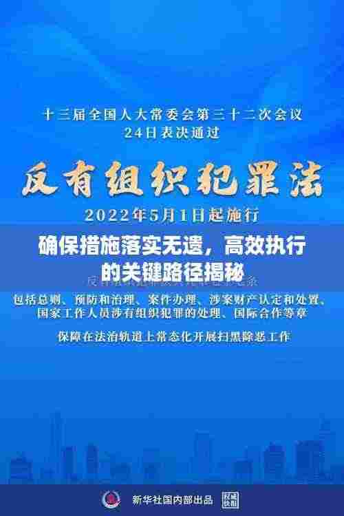确保措施落实无遗,高效执行的关键路径揭秘