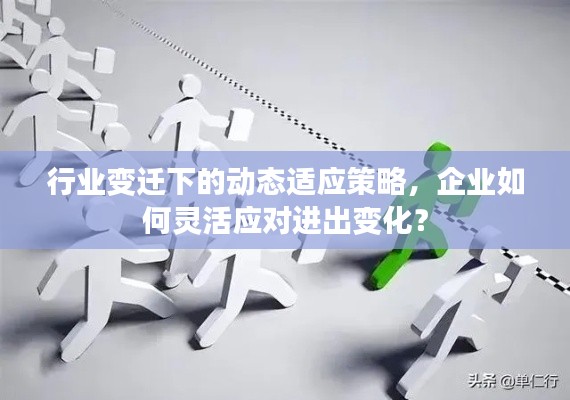 行业变迁下的动态适应策略,企业如何灵活应对进出变化?