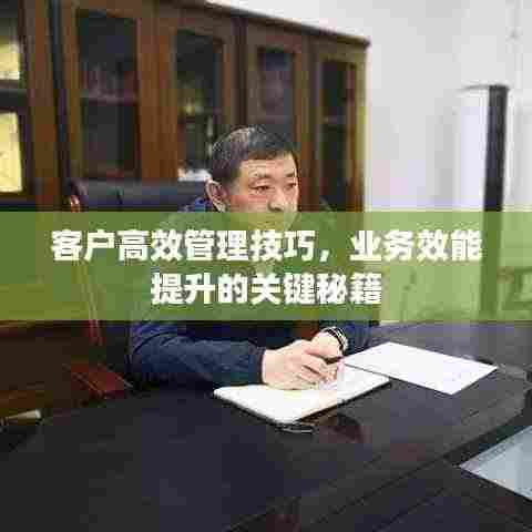 客户高效管理技巧，业务效能提升的关键秘籍