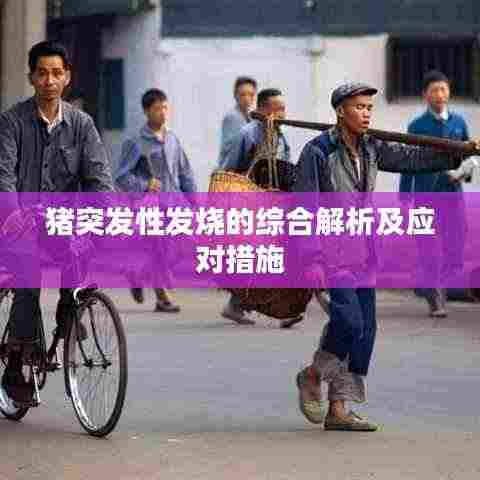 猪突发性发烧的综合解析及应对措施