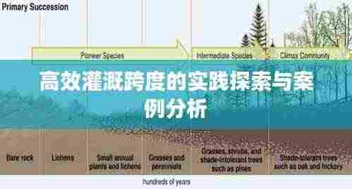 高效灌溉跨度的实践探索与案例分析