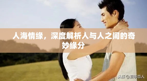 人海情缘,深度解析人与人之间的奇妙缘分