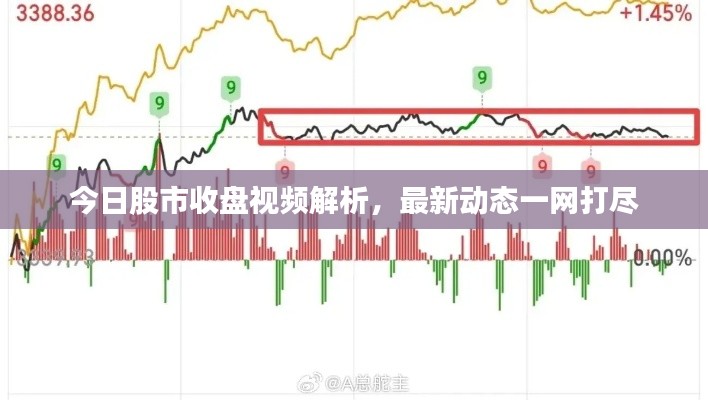 今日股市收盘视频解析，最新动态一网打尽