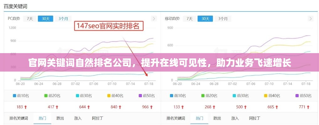 官网关键词自然排名公司，提升在线可见性，助力业务飞速增长