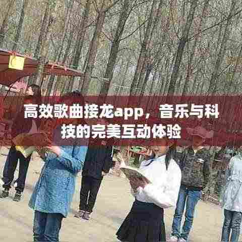 高效歌曲接龙app,音乐与科技的完美互动体验