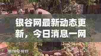 银谷网最新动态更新,今日消息一网打尽!