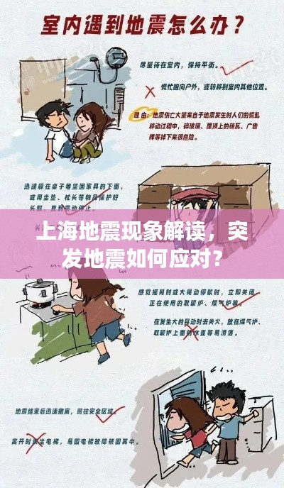 上海地震现象解读,突发地震如何应对?