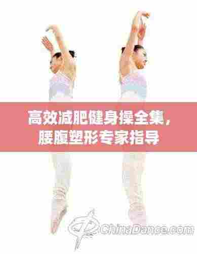 高效减肥健身操全集，腰腹塑形专家指导