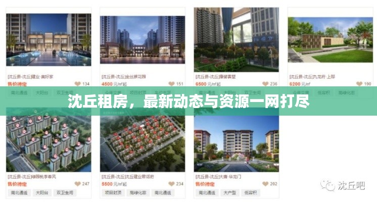 沈丘租房,最新动态与资源一网打尽