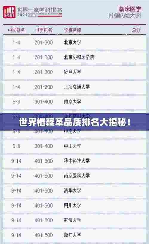 世界植鞣革品质排名大揭秘!